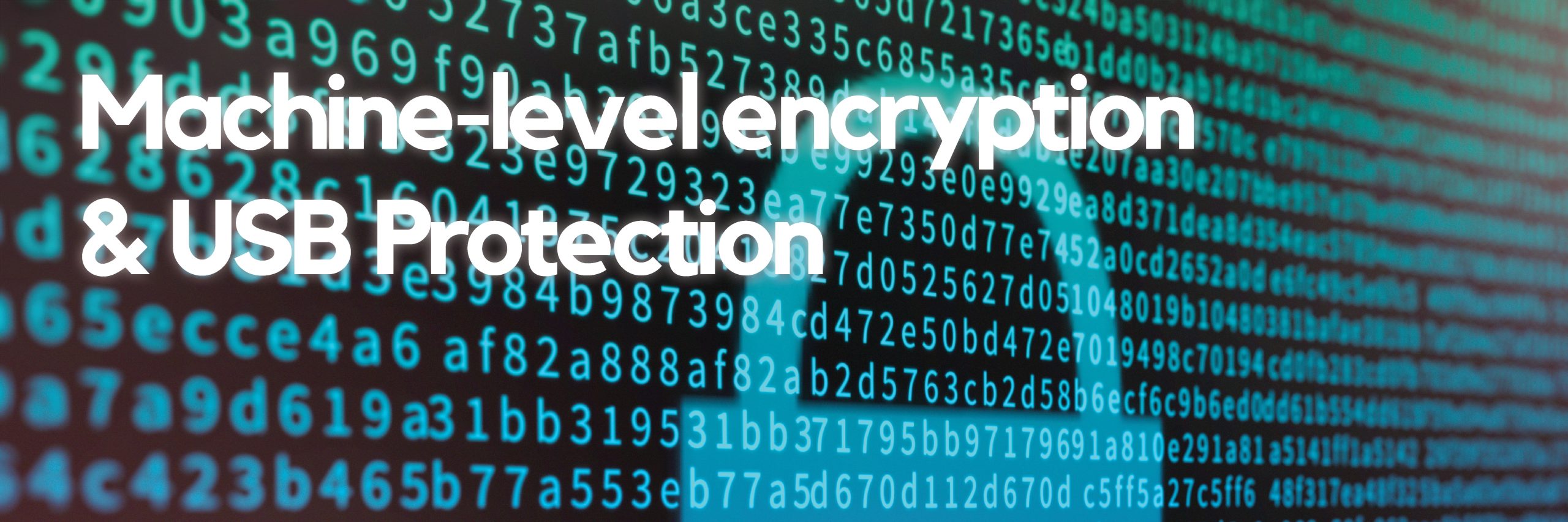 Machine-level encryption and USB Protection